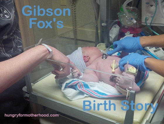 Gibson's-Birth-Story